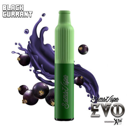 EVO BLACK CURRANT 5%