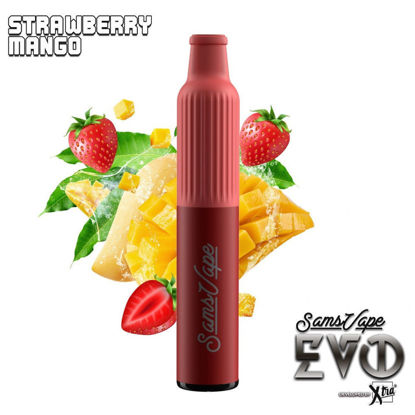 EVO BDTRAWBERRY MANGO 5%